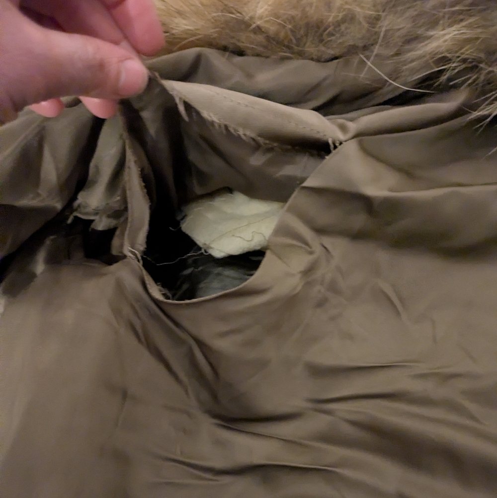 Finn Raccon Coat - Picture 6 of 7